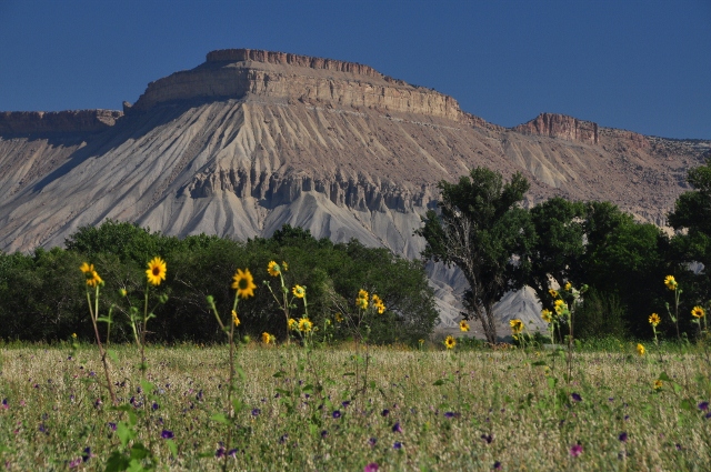 the Book Cliffs